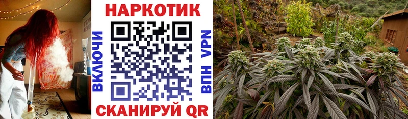 Наркота Апрелевка Псилоцибиновые грибы Амфетамин Альфа ПВП МАРИХУАНА Гашиш Cocaine