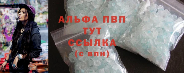 стаф Алексин