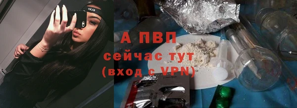 индика Майский