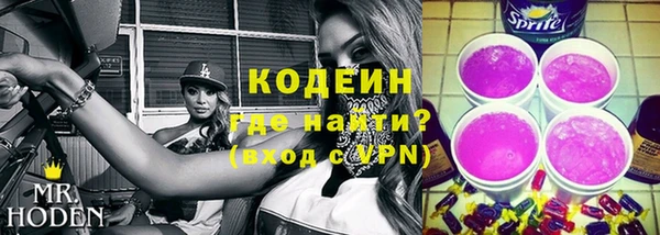 индика Майский