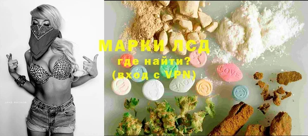 стаф Алексин