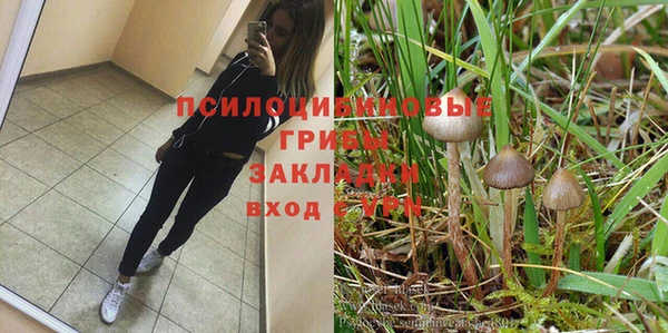 стаф Алексин