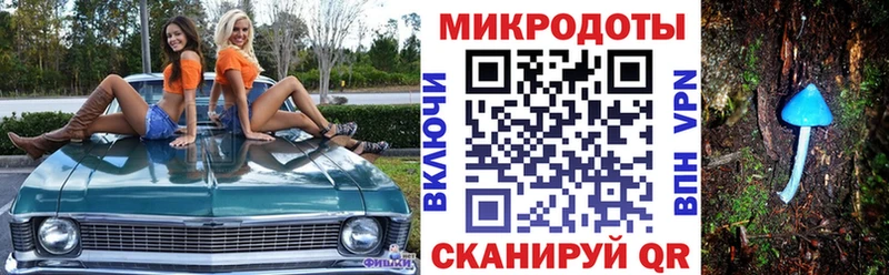 Галлюциногенные грибы Psilocybe  купить наркотики цена  Апрелевка 